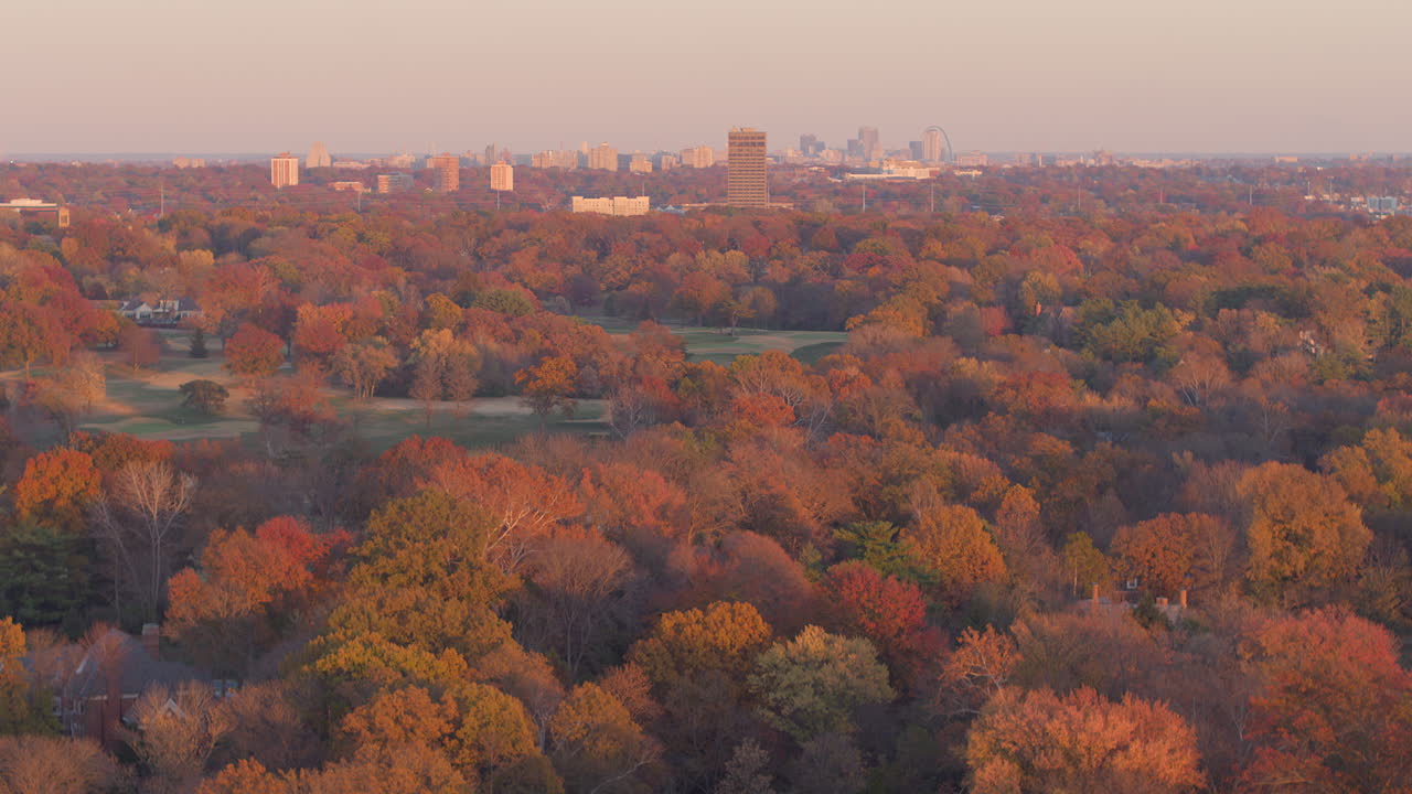 공중 비행 가을 나무와 도시 스카이라인이 아래로 기울어져 교외 주택이 드러납니다.