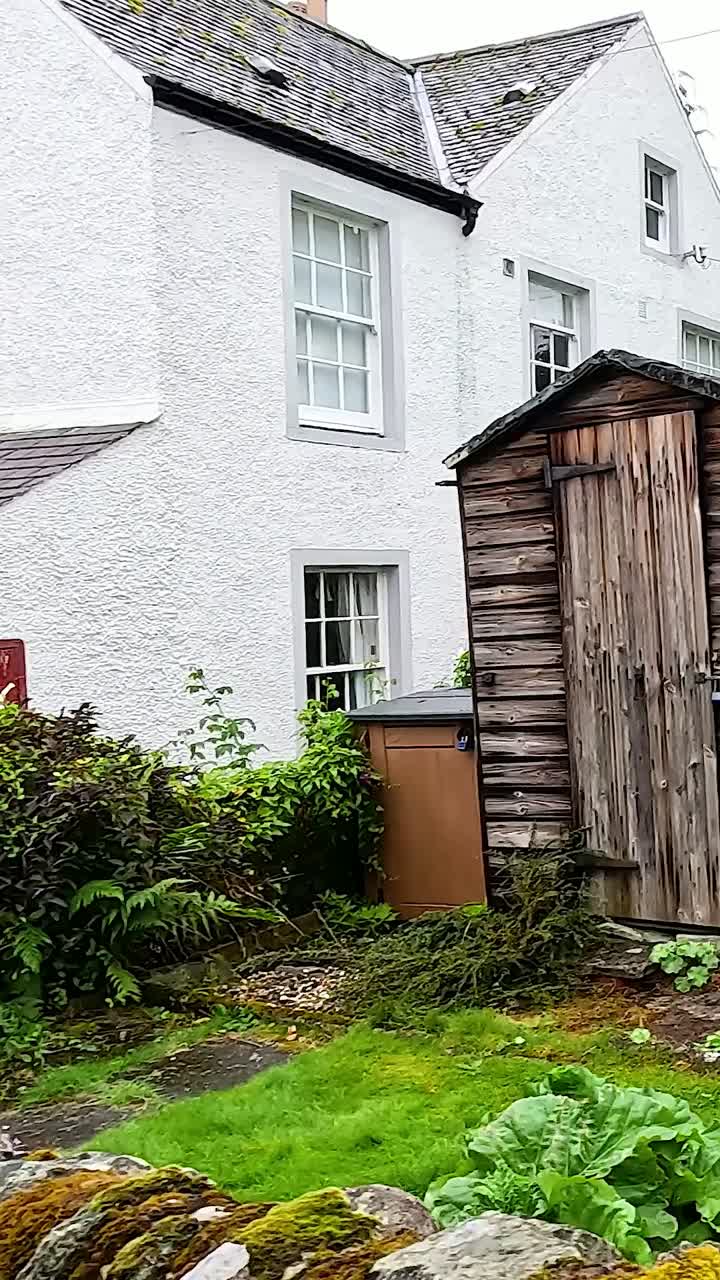 시골 과 오두막이 있는 울창한 정원