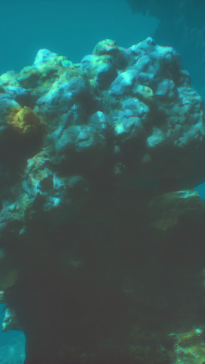 arrecife de coral submarino