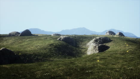 serene grassland landscape with rocks and mountains