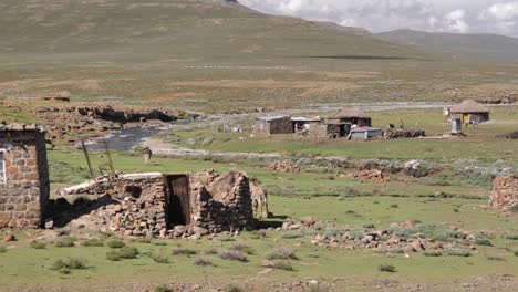 Mula-Arrastra-Cuerda-Mientras-Trota-Para-Unirse-A-Un-Amigo-En-Pastos-Verdes-Junto-Al-Río