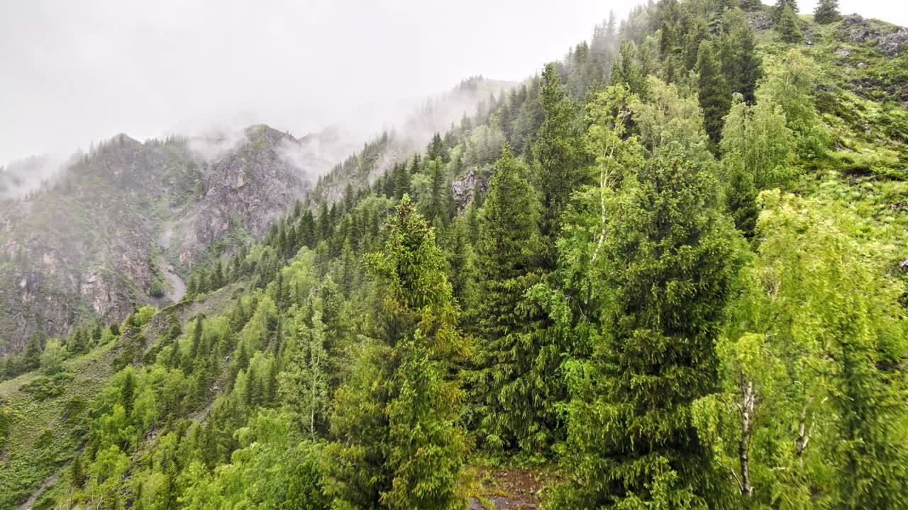 paisaje con hierba y montañas