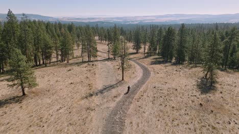 Aerial view following man riding motorcycle through forest road