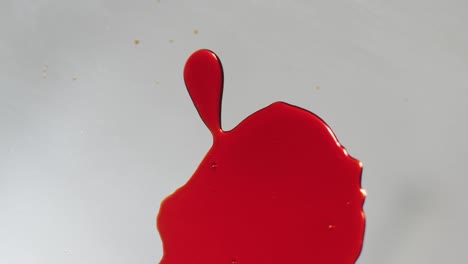 video de manchas de sangre roja cayendo sobre un fondo blanco