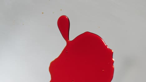 video of red blood stains falling on white background