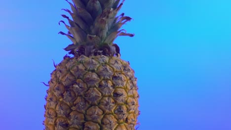 Pineapple-on-a-blue-background