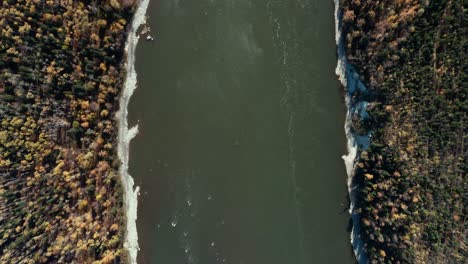 a cinematic, moving, aerial, straight-down view of the large fraser river during the autumn season