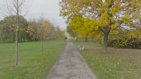 un parque de la ciudad con un sendero
