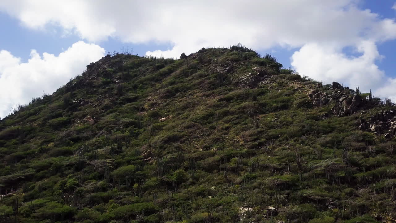 toma aérea de cactus y escaleras en la formación de roca volcánica conocida como hooiberg en aruba