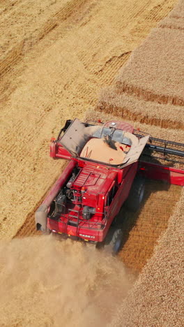 full red harvester mowing wheat spikelets on harvest season. high-powered machine working in the field on sunny day. top view. vertical video
