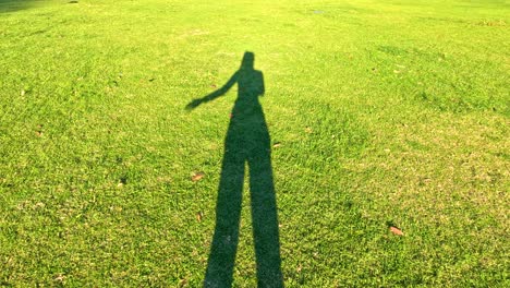 a shadow waves on sunlit grass in melbourne, capturing playful interaction with light and nature over 32 seconds