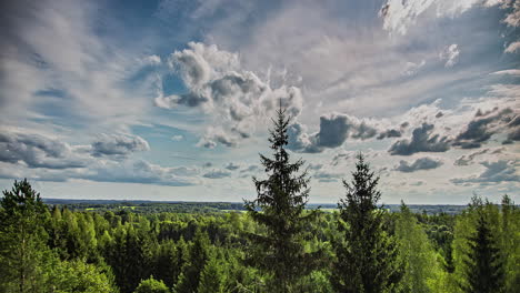 white fluffy clouds over the country - time lapse