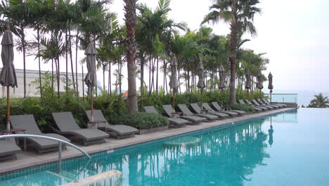 beautiful beach front pool lined with palm trees and lounge chairs