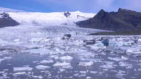 冰山漂流在冰川大湖 (fjöllsárlón)  冰島表明全球暖化和氣候變化