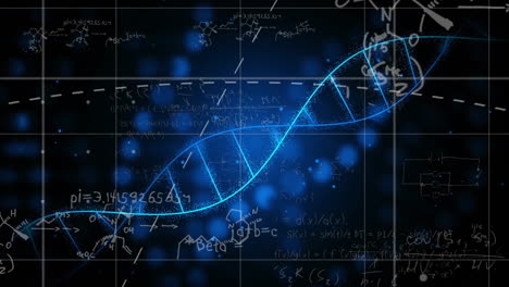 mathematical equations and graphs over blue dna strand animation