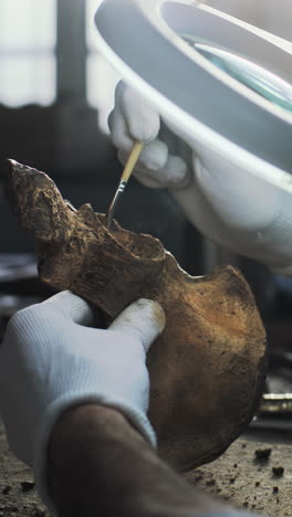 archaeologist preparing a fossil bone