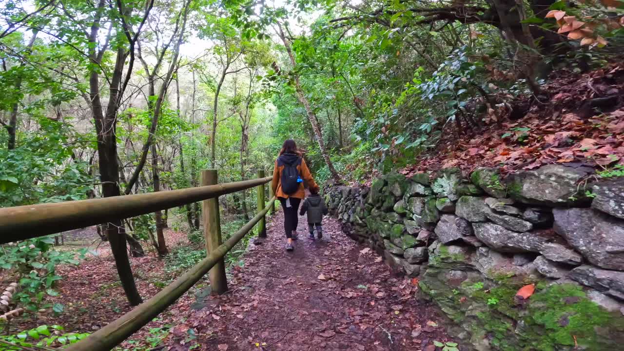Pessoas caminhando em uma trilha na floresta