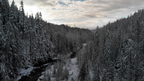 Puesta-De-Sol-Sobre-El-Arroyo-Del-Bosque-De-Invierno