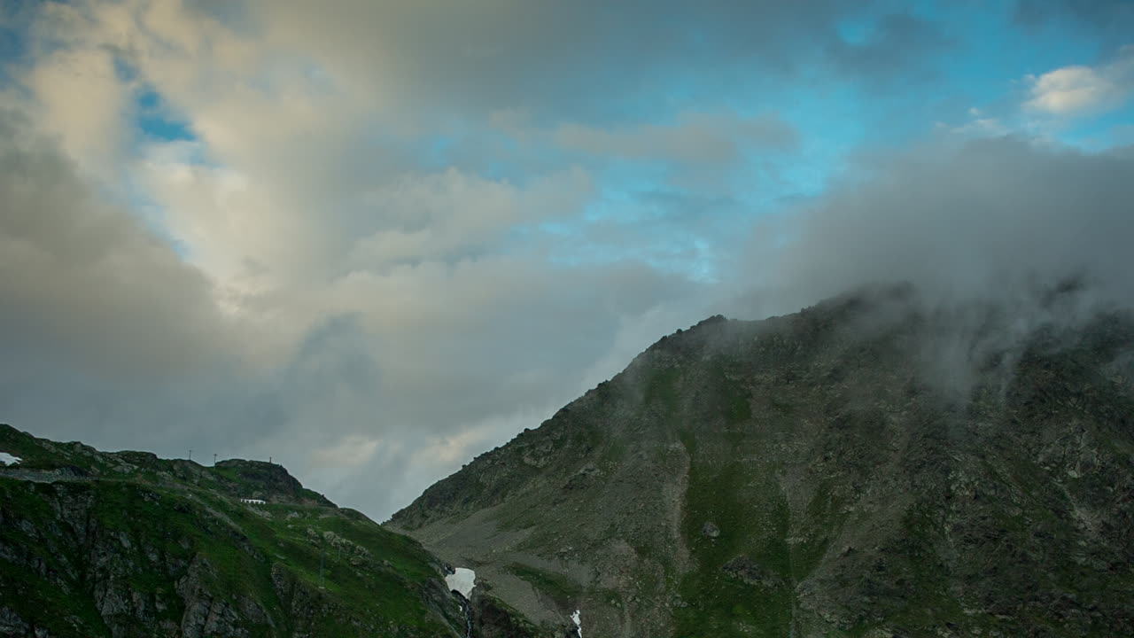 세인트 버나드 04