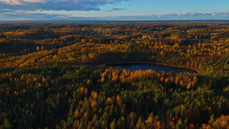 flying over an endless forest in sipoonkorpi national park, finland