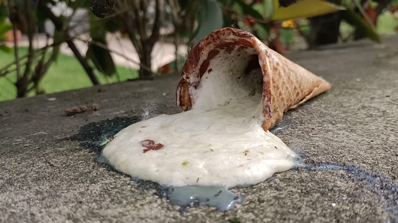 Ants Swarming Around a Melted Ice Cream Cone