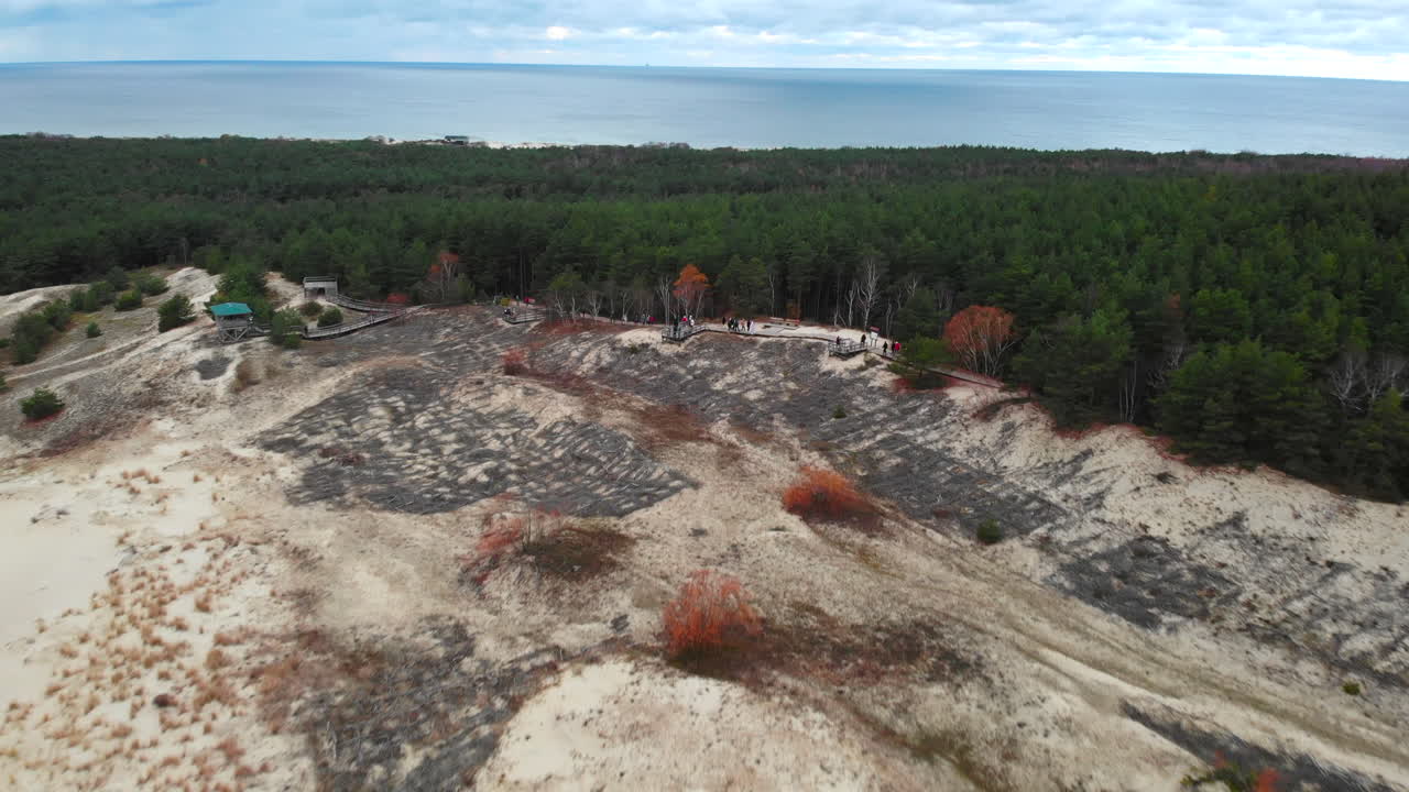 Aerial View of Sand Dunes, Forest, and Sea