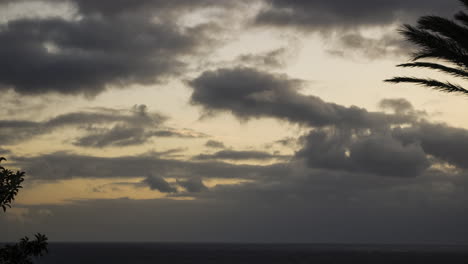 stormy clouds passing by the madeiran coast line masking the evenings sunset, dramatic fast skys , trees flapping in the high winds