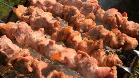 appetizing juicy pork barbecue is roasted on skewers on top of charcoal grill. pieces of meat close-up.