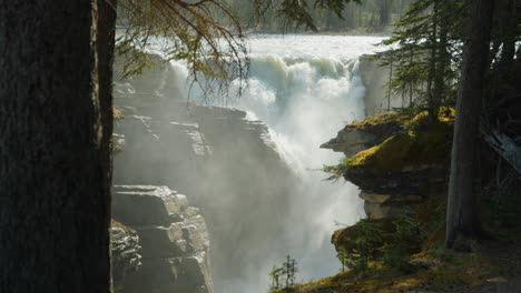 Malerischer-Athabasca-Wasserfall-Vom-Wald-Aus-Gesehen---Goldene-Stunde