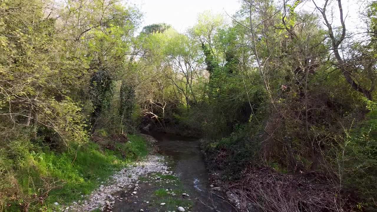 dolly out, pull out con zumbido de un río a baja altura