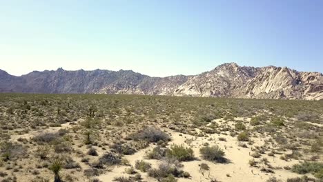 para un documental sobre el desierto