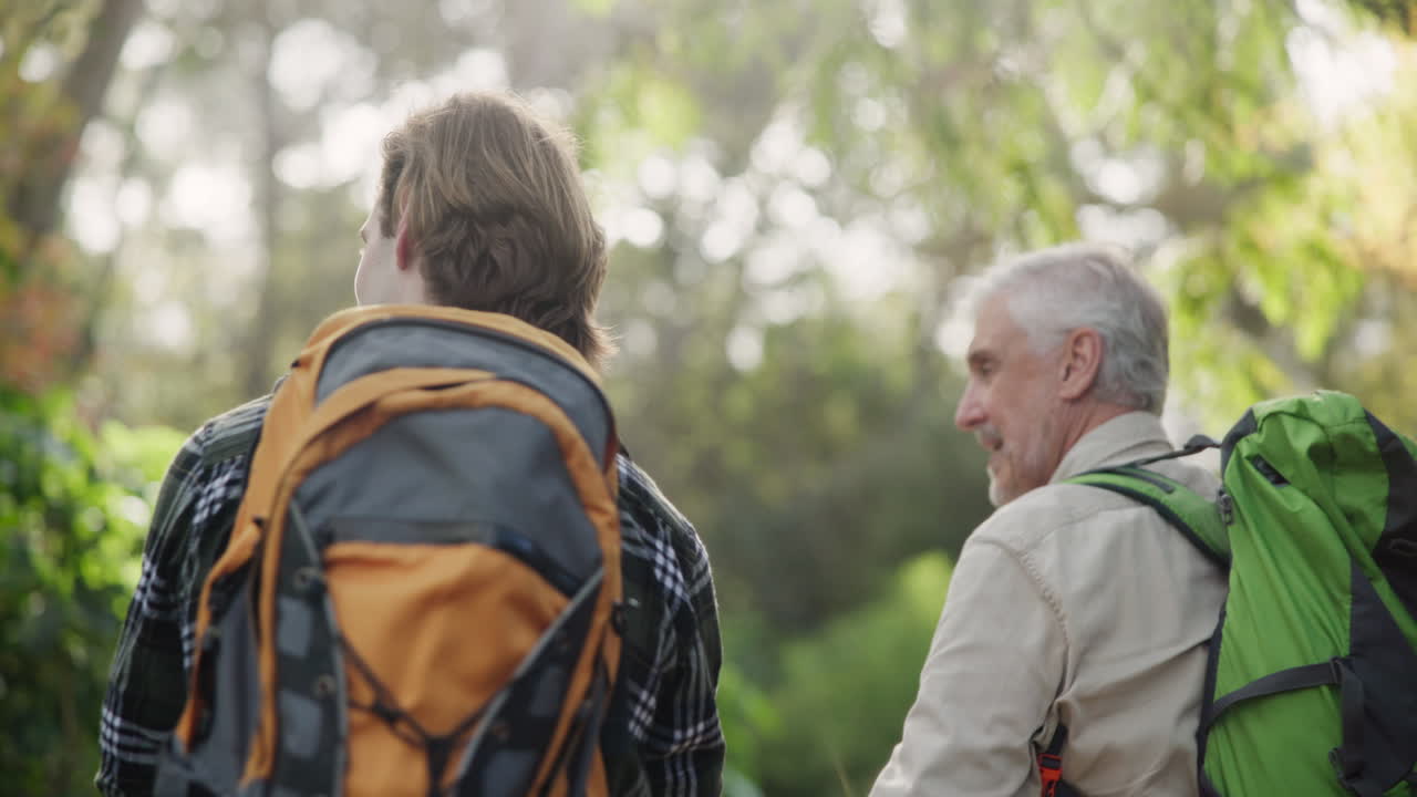 Two men hiking in the forest
