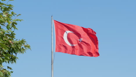 turkish flag against clear blue sky, green leaves foreground slomo