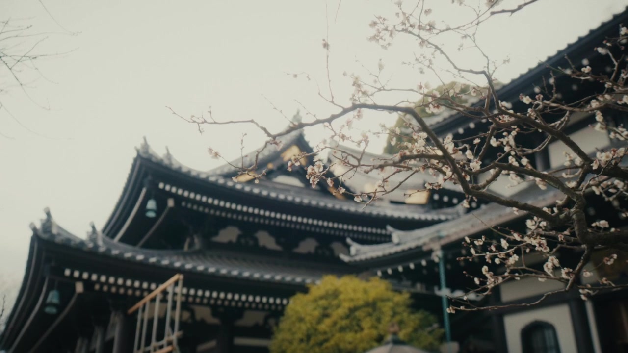 Vista dal basso dalla zona collinare del tempio Hase-dera a Kamakura, che mostra le grondaie intricate e a strati e l'architettura tradizionale in legno scuro dell'edificio principale del tempio.