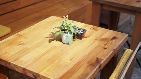 mesa de madera al aire libre con planta