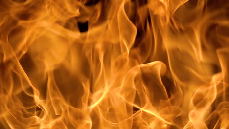 flames of fire on black background in slow motion