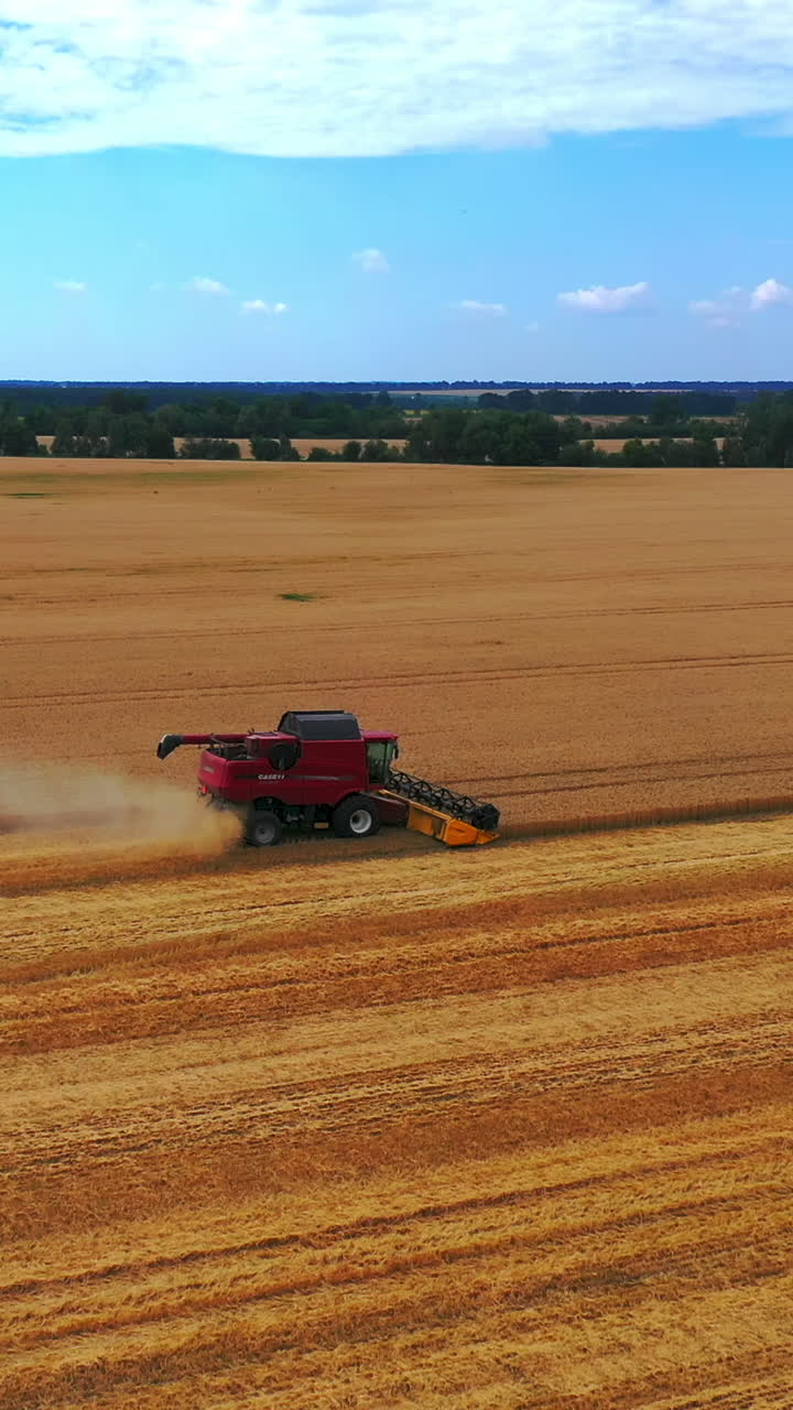 Aerial view on the combine working on the large wheat field. Grain harvesting equipment in the field. Vertical video