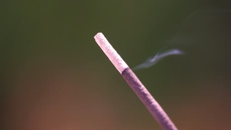 cámara lenta de cerca del palo de incienso