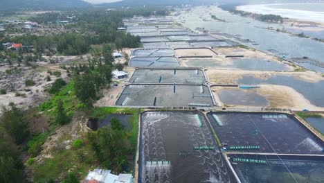 aerial view of tuy hòa shrimp farms next to the east vietnam sea