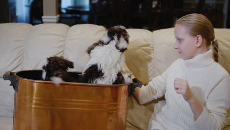 a girl holds two cute puppies on her lap, sits on the couch in the living room.