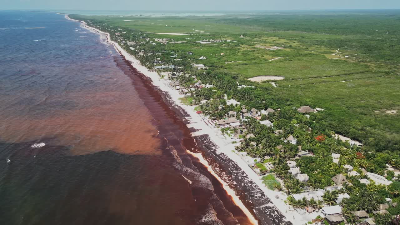 Environmental beach hazards, aquatic pollution, invasive algae, aerial