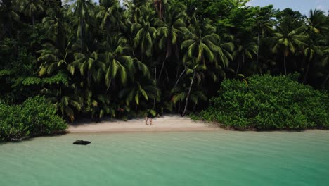 aerial of a couple stepping into turquoise waters from a private, secluded beach in tropical panama. framed by lush jungle and palms—pure paradise, romance, and dreamy island escape.