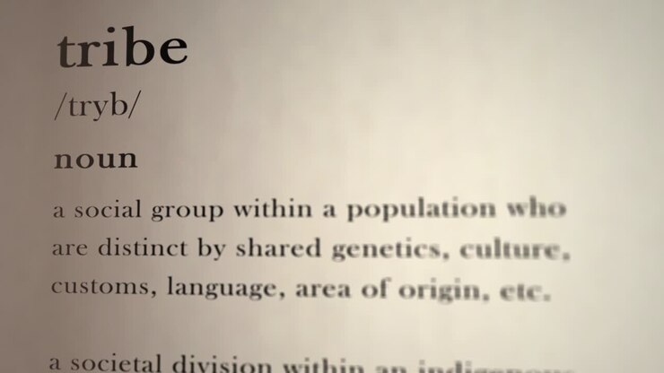 Tribe Definition