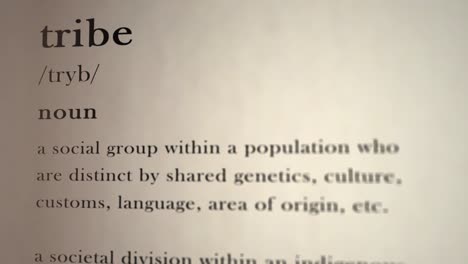 tribe definition