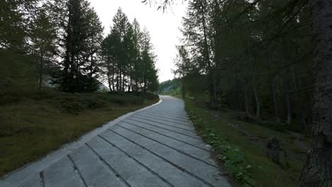 POV-Spaziergang-Auf-Gepflastertem-Naturpfad-Durch-Den-Wald,-Friedlicher-Wanderpfad