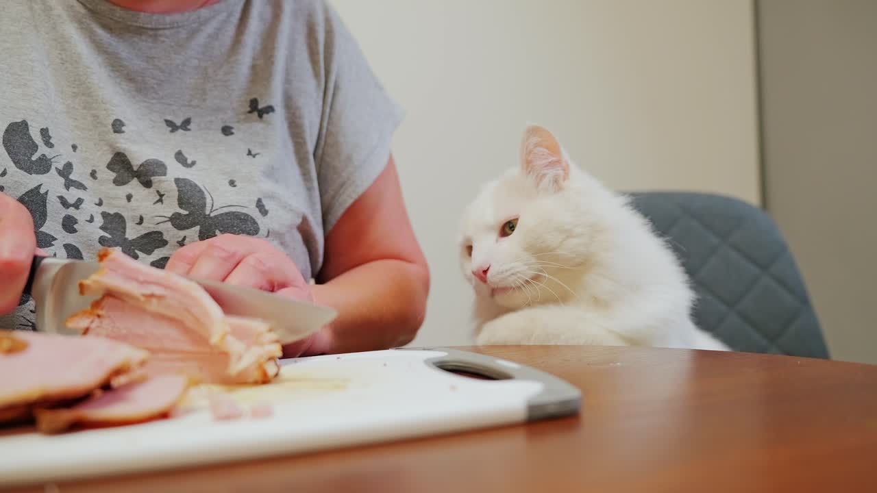 Sneaky white cat tries to claw meat from cutting board, slow motion kitchen, 4K