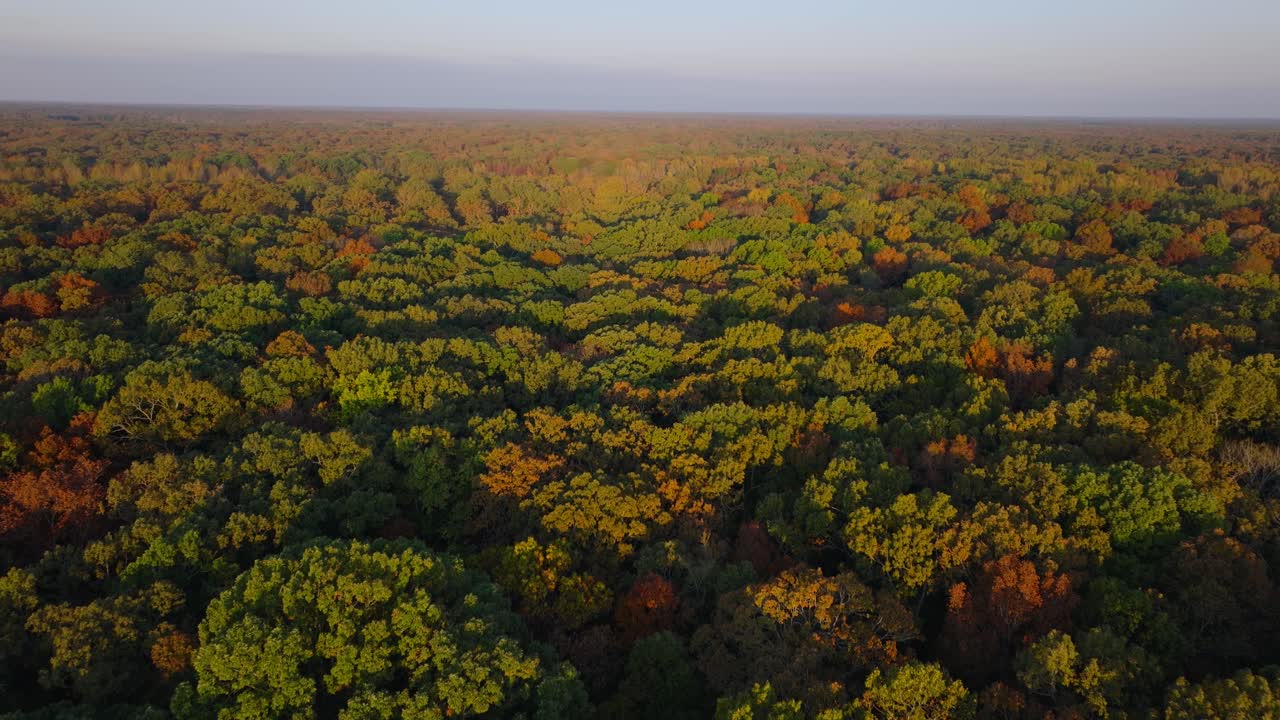 Scenic aerial view of Arkansas forest in autumn's vibrant colors