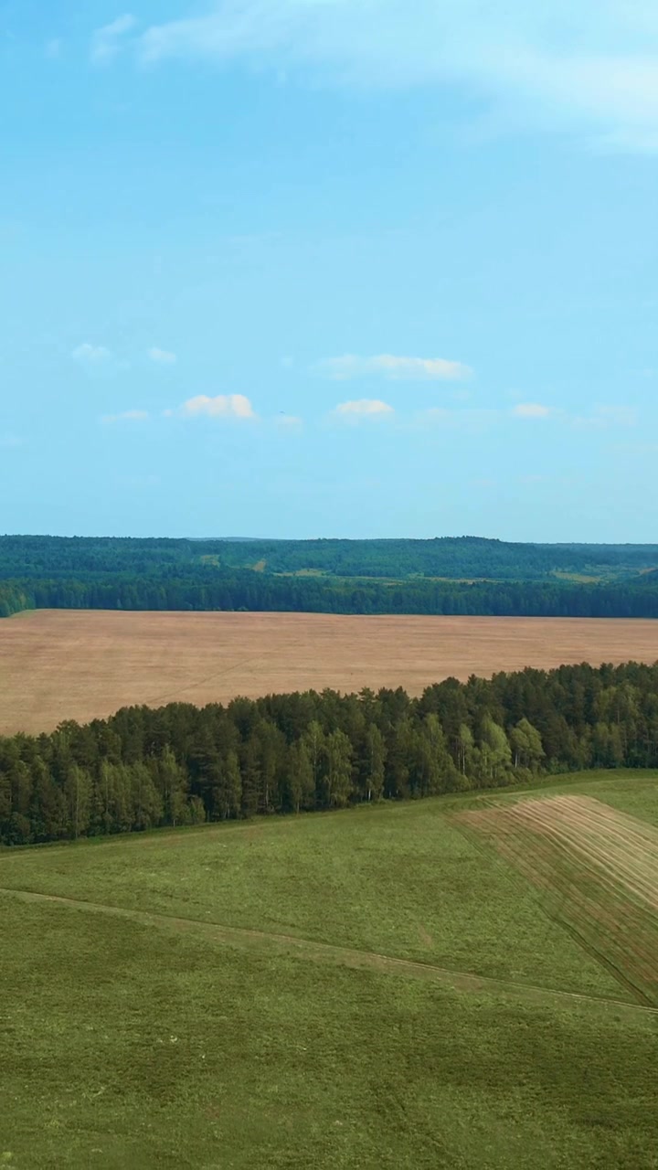 Naturskønne luftoptagelser af landskab med grønne enge, høstet afgrødemark og trærække under klar blå himmel, ideel til natur- og landbrugstemaer.