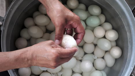 top down view female peeling boiled duck eggs - close up shot