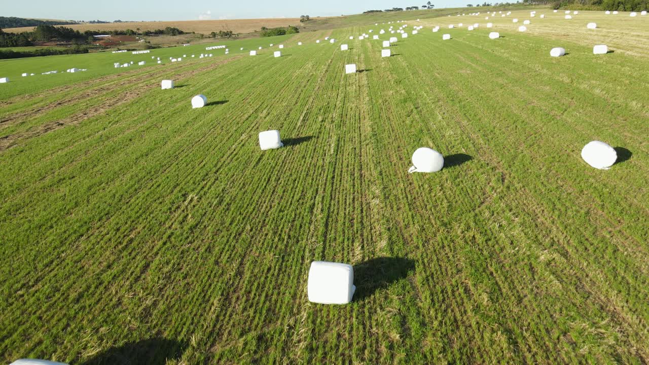 플라스틱 흰색 호일로 싸인 건초 더미가 있는 농업 풍경, 드론 보기